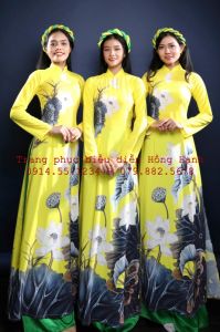 Áo Dài Truyền Thống Nữ 96 - ADTT96