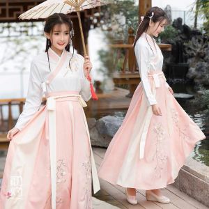 Thuê Trang Phục Hằng Nga 2.9 - HN29