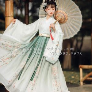 Thuê Trang Phục Hằng Nga 2 37 - HN237