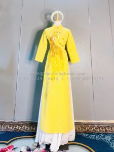Áo dài truyền thống 272 - ADTT272
