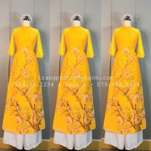 Áo Dài Cách Tân Nữ 98 - ADCTN98