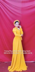 Thuê áo dài trình diễn - ADTD2