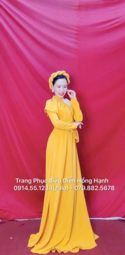 Thuê áo dài trình diễn 2