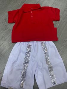 Đồng phục học sinh - DPHS2