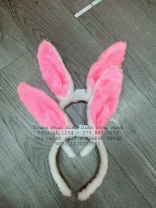 Thuê tai thỏ PK.0068.10K