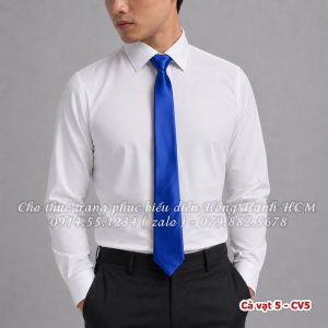 Cà vạt 5 - CV5