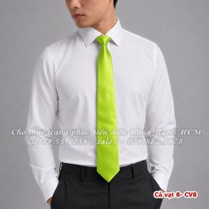 Cà vạt 8 - CV8