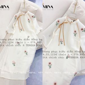 Áo Dài Cách Tân Nữ 178 - ADCTN178