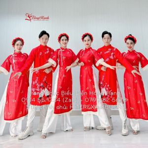 Áo Dài Cách Tân Nữ 209 - ADCTN209
