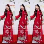 Thuê áo dài truyền thống 412 - ADTT412