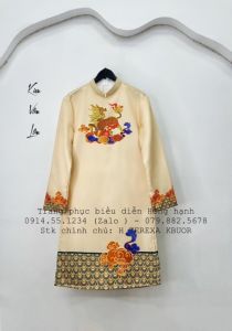 Áo Dài Nam246 - ADN246