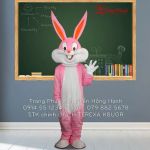 Thuê Trang Phục Mascot hỏ Ngọc Màu Hồng ( Mascot 6 )