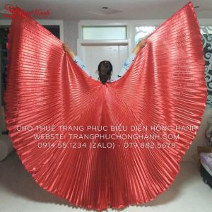 Thuê cánh chim dập li đỏ - CC3