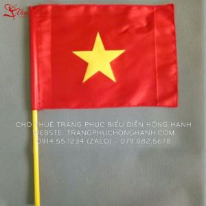 Thuê cờ cầm tay nhỏ - CCTN