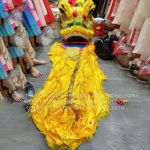 Thuê đầu lân vàng - DLV