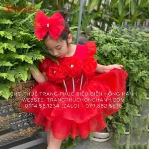 Váy Múa - Váy Bồng Trẻ Em 16