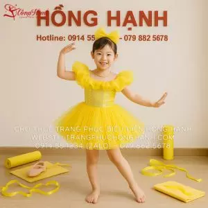 Váy Múa - Váy Bồng Trẻ Em 22
