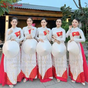 Áo dài truyền thống 300