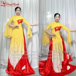 Áo dài truyền thống 303