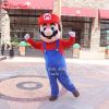 cho-thue-do-cosplay-mario - ảnh nhỏ  1